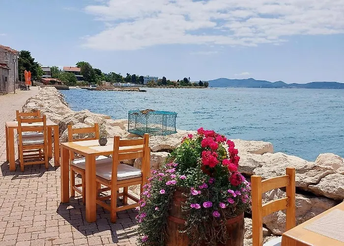 Puntina, * Bibinje
