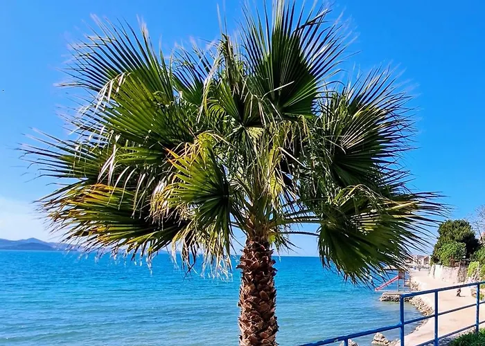 Puntina, Casa de Férias