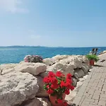 Puntina, Bibinje