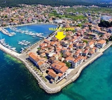 Puntina, Bibinje