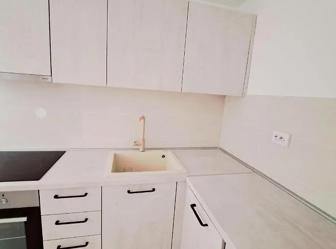 Puntina, * ביבינייה